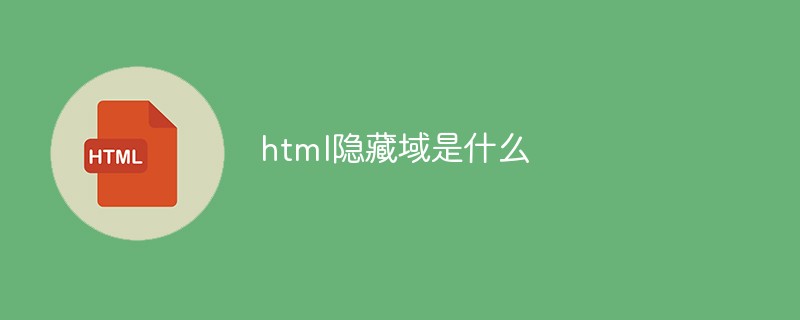 html隐藏域是什么
