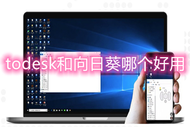todesk和向日葵比较 todesk和向日葵哪个好用