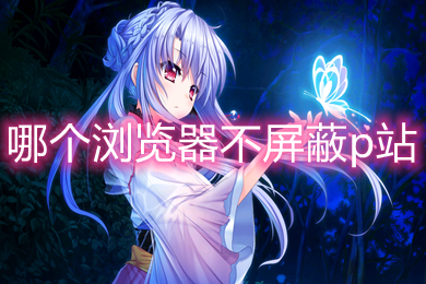哪个浏览器不屏蔽p站 可以访问任意网站的浏览器推荐