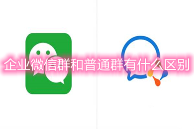 企业微信群和普通群有什么区别 企业微信群和普通群的区别介绍