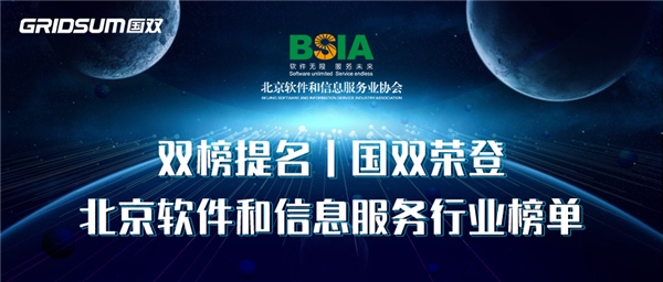 新年捷报,双榜题名 | 国双荣登2021北京软件和信息服务业年度榜单