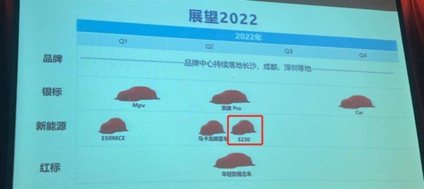 真“老头乐” 比宏光MINI EV还小！五菱E230专利图曝光