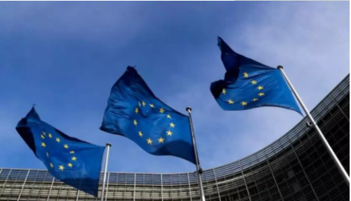 欧洲议会通过《数字服务法》加强网络巨头经营监管