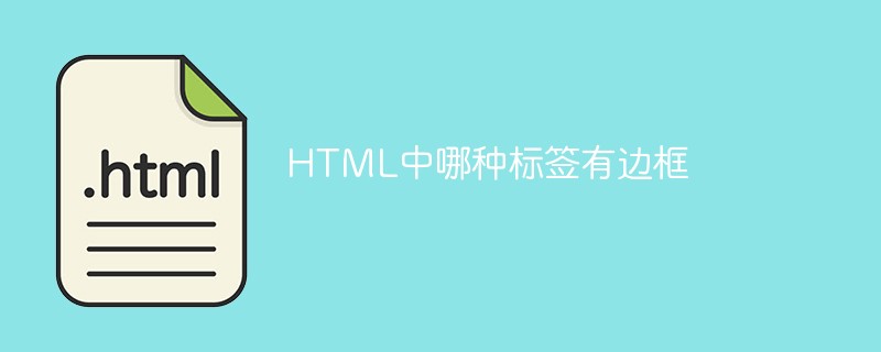 HTML中哪种标签有边框