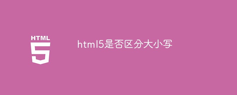 html5是否区分大小写