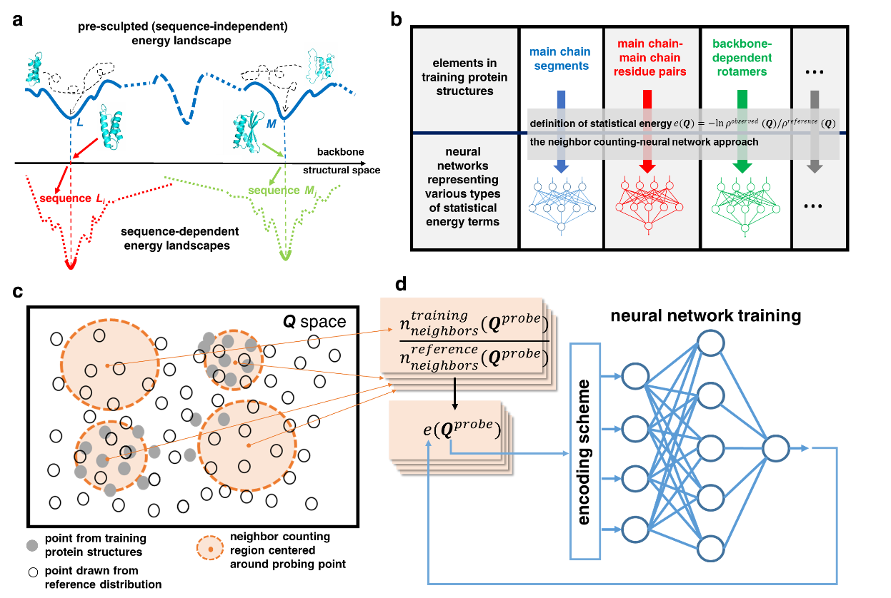 从头设计路线,我国科学家建立蛋白质设计新方法