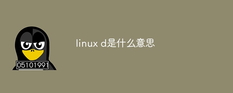 linux d是什么意思