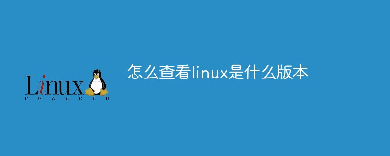 怎么查看linux是什么版本
