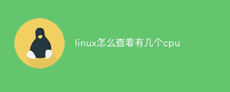 linux怎么查看有几个cpu