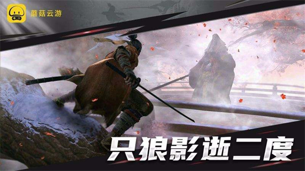 蘑菇云游戏兑换码2022 蘑菇云游戏兑换码真实有效