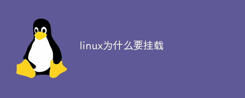 linux为什么要挂载