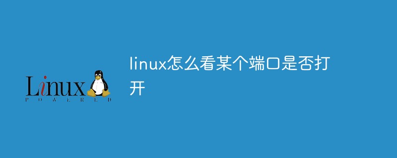 linux怎么看某个端口是否打开