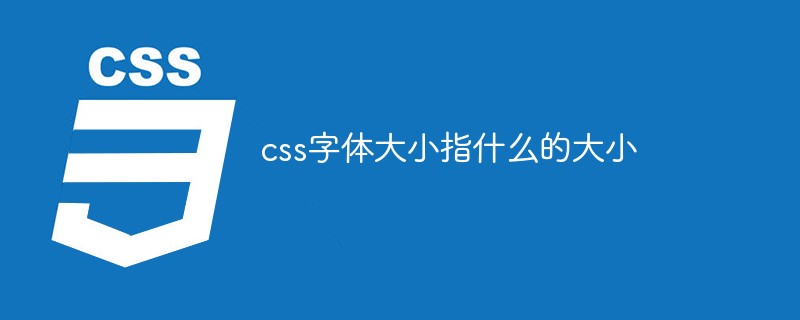 css字体大小指什么的大小