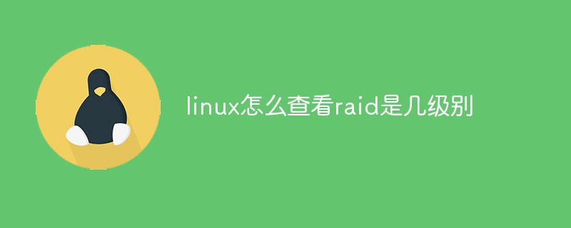 linux怎么查看raid是几级别