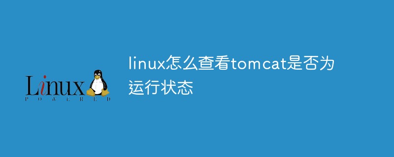 linux怎么查看tomcat是否为运行状态