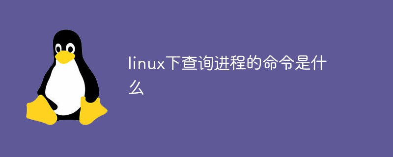 linux下查询进程的命令是什么