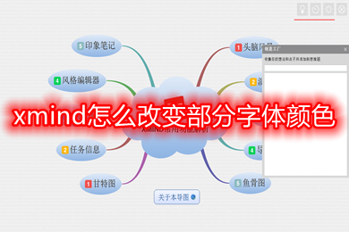 xmind怎么改变部分字体颜色 xmind改变部分字体颜色的方法