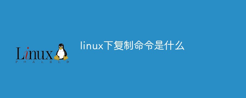 linux下复制命令是什么