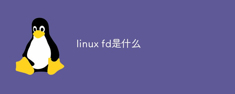 linux fd是什么