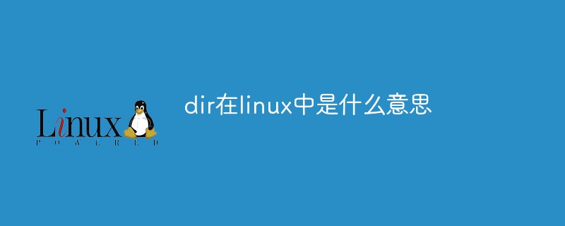 dir在linux中是什么意思