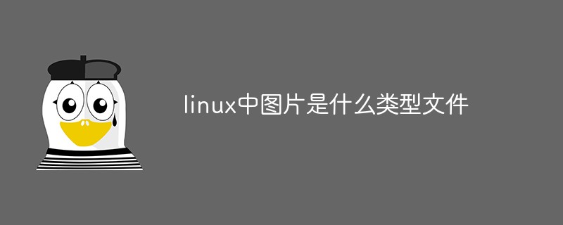 linux中图片是什么类型文件