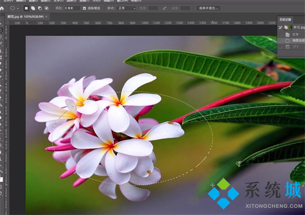 ps撤销快捷键是什么 苹果电脑ps撤销快捷键是什么