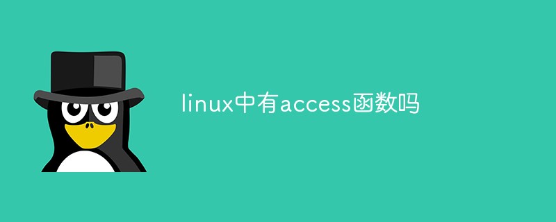 linux中有access函数吗