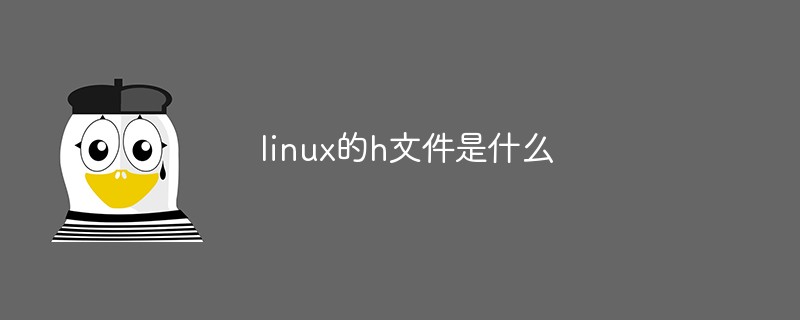 linux的h文件是什么