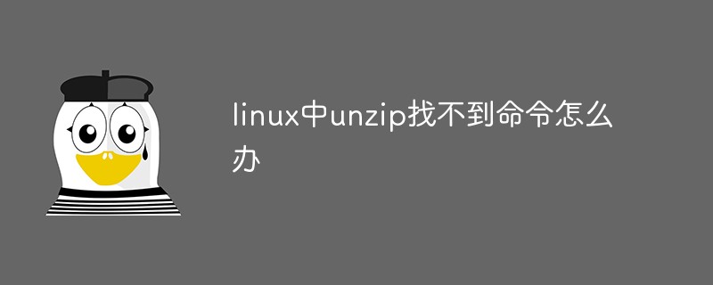 linux中unzip找不到命令怎么办