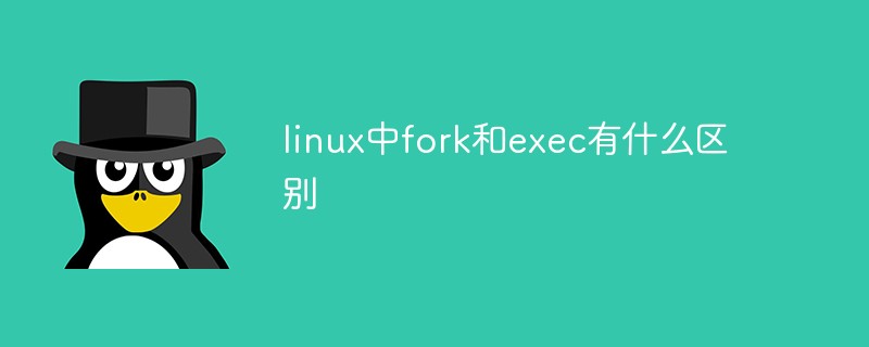 linux中fork和exec有什么区别