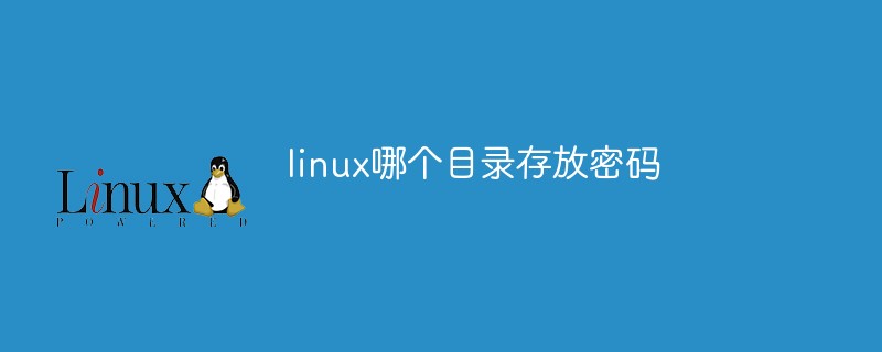 linux哪个目录存放密码
