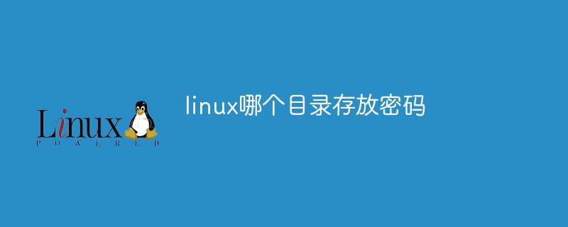 linux哪个目录存放密码