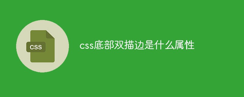 css底部双描边是什么属性