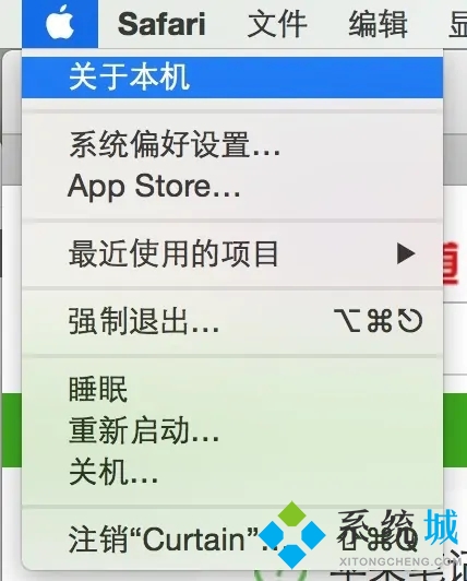 苹果电脑怎么看内存 如何查看苹果电脑内存大小
