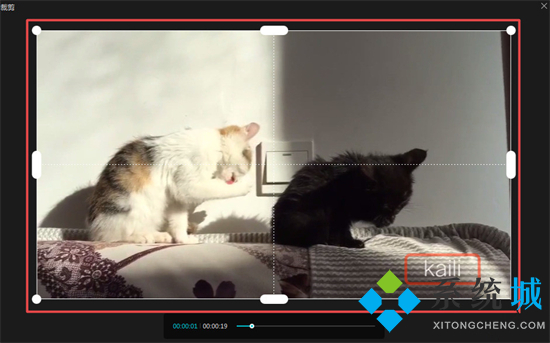 抖音剪映怎么去水印 剪映可以去除水印吗