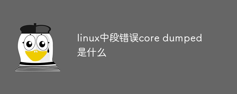 linux中段错误core dumped是什么