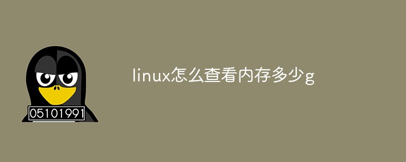 linux怎么查看内存多少g