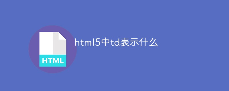 html5中td表示什么