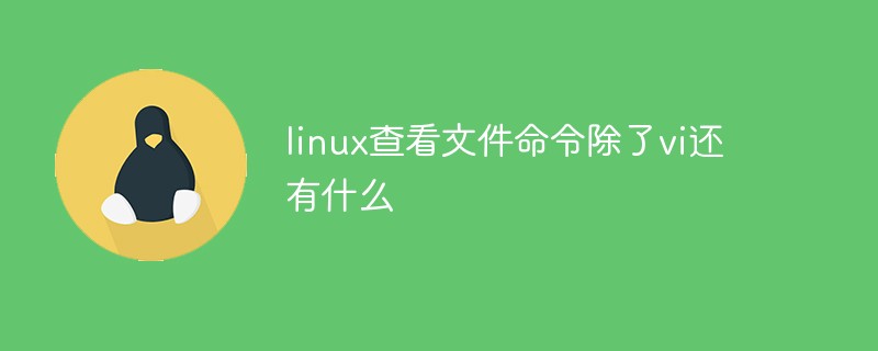 linux查看文件命令除了vi还有什么