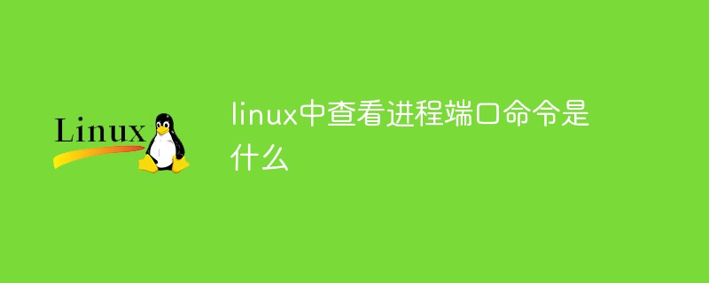 linux中查看进程端口命令是什么