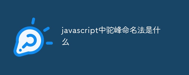 javascript中驼峰命名法是什么