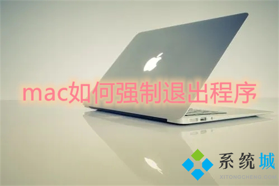 mac如何强制退出程序 mac强制退出快捷键