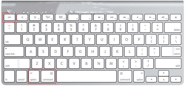 mac如何强制退出程序 mac强制退出快捷键