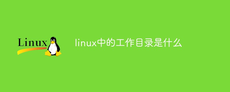 linux中的工作目录是什么