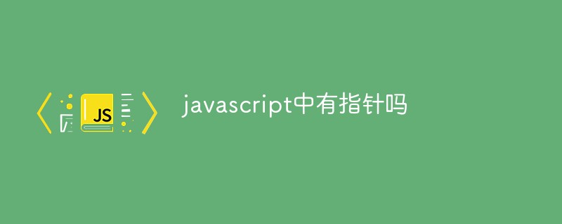 javascript中有指针吗