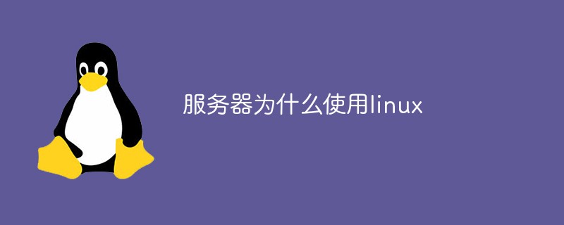 服务器为什么使用linux