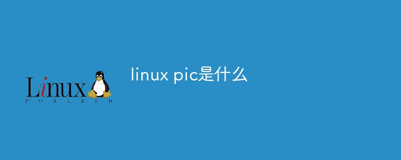 linux pic是什么