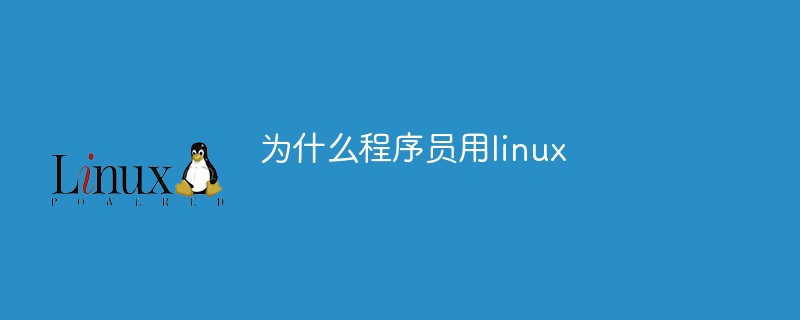 为什么程序员用linux