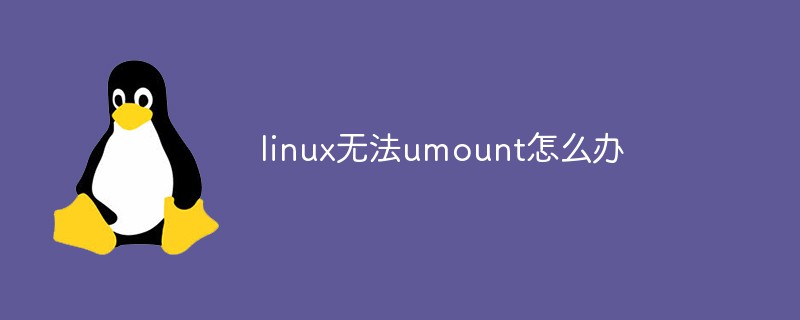 linux无法umount怎么办