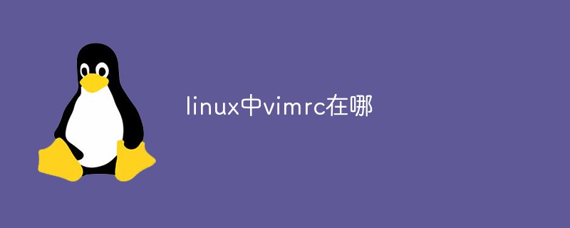 linux中vimrc在哪